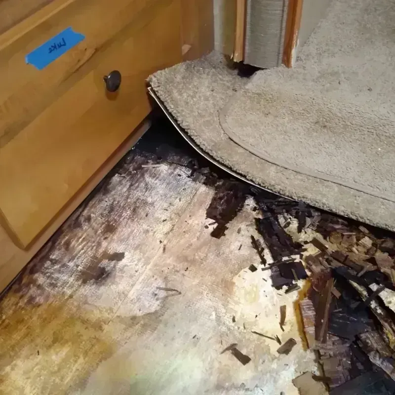 Best Wood Floor Water Damage Service in Neillsville, WI